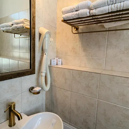 Hotell Carol 4*