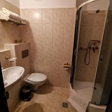 Hotel Carol 4*